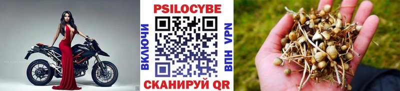 kraken рабочий сайт  Мурманск  Галлюциногенные грибы прущие грибы 